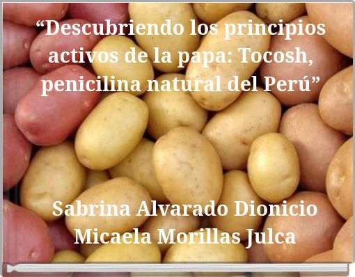“Descubriendo los principios activos de la papa: Tocosh, penicilina natural del Perú”
