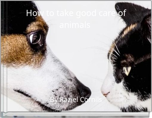 How to take good care of animals