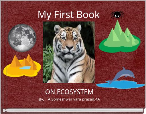 Front cover of 'My First Book' 