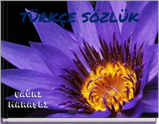 T&Uuml;RK&Ccedil;E S&Ouml;ZL&Uuml;K