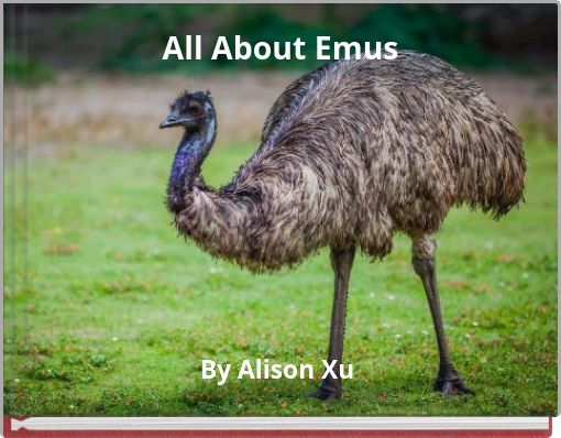 All About Emus