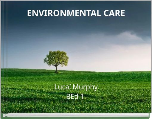 ENVIRONMENTAL CARE