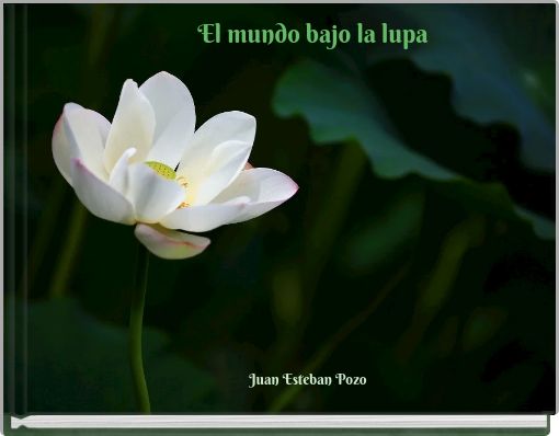 El mundo bajo la lupa
