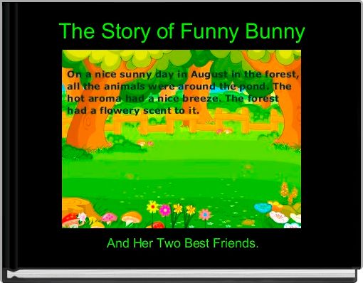 Front cover of 'The Story of Funny Bunny' 