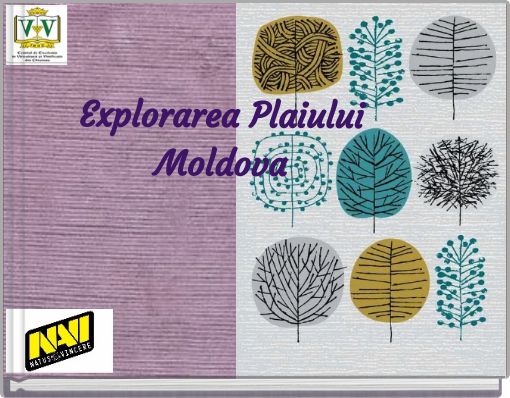 Explorarea Plaiului Moldova