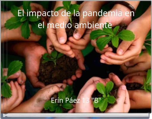 El impacto de la pandemia en el medio ambiente