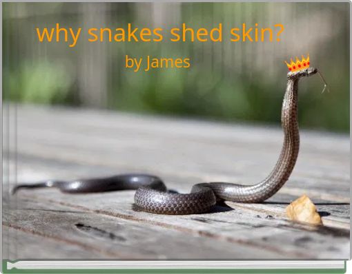 why snakes shed skin?