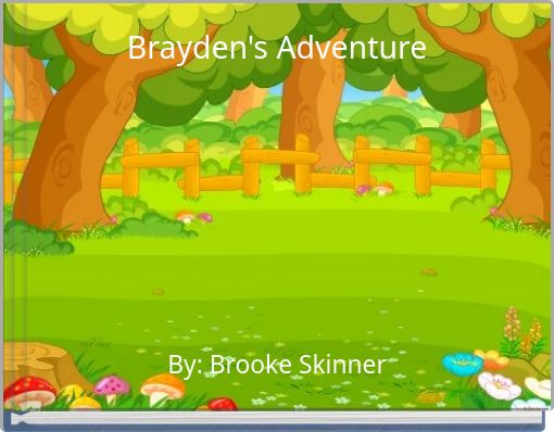 Front cover of 'Brayden's Adventure' 
