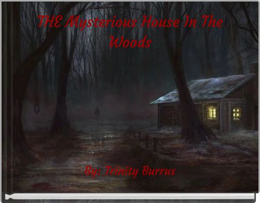 Book Cover for: THE Mysterious House In The Woods