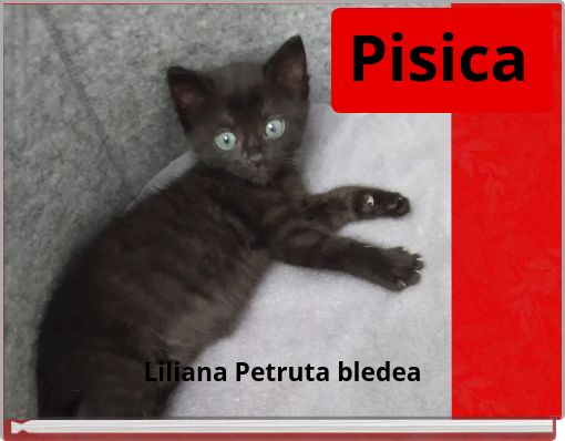 Pisica