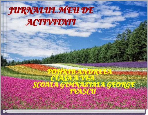 JURNALUL MEU DE ACTIVITATI