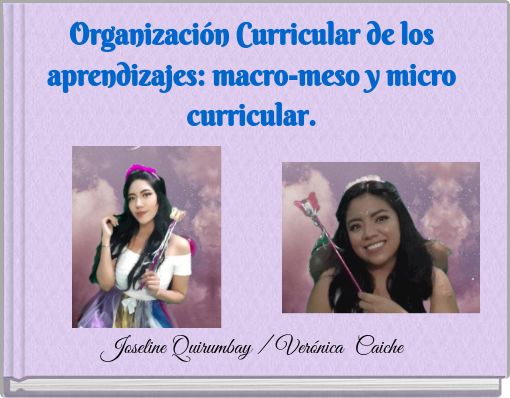 Organización Curricular de los aprendizajes: macro-meso y micro curricular.