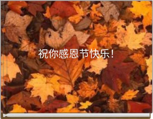 祝你感恩节快乐！