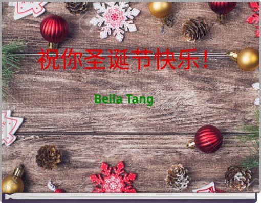 祝你圣诞节快乐！