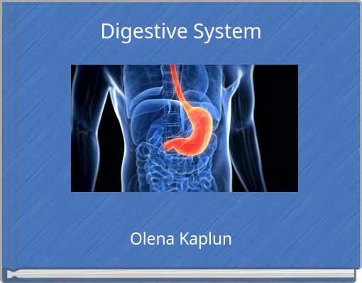 Digestive System