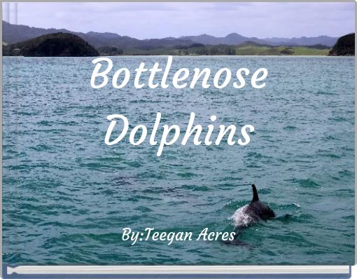 Bottlenose Dolphins