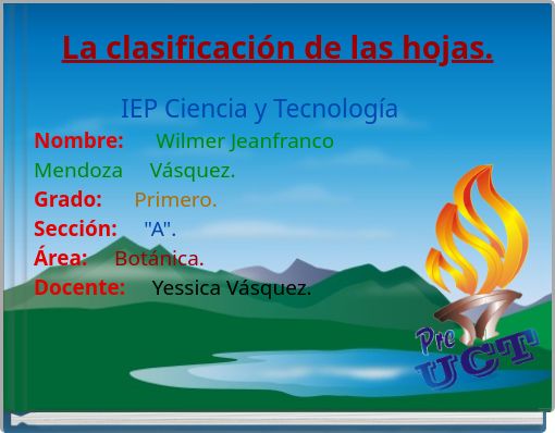 La clasificación de las hojas.
