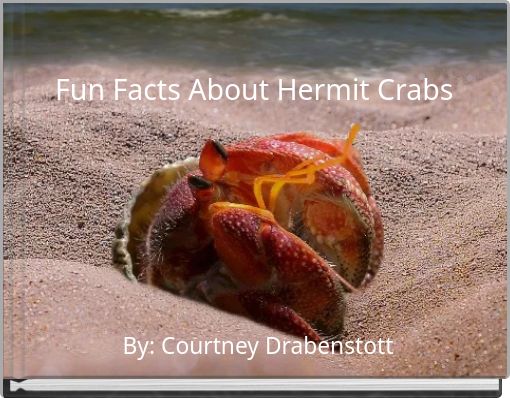 Front cover of 'Fun Facts About Hermit Crabs' 