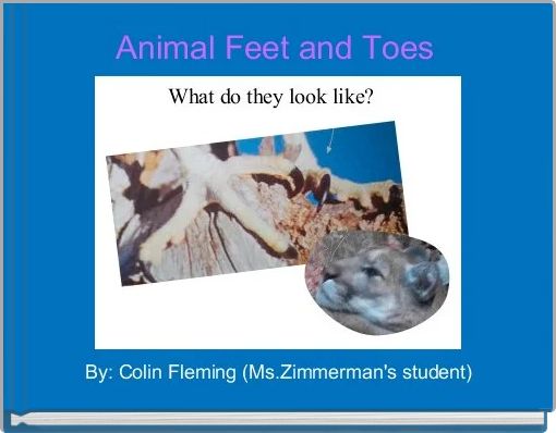 Animal Feet and Toes 