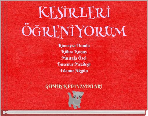 KESİRLERİ ÖĞRENİYORUM