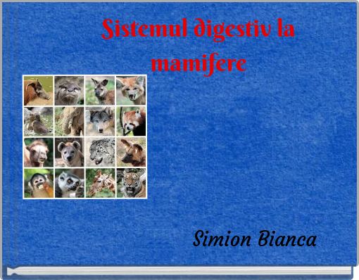 Sistemul digestiv la mamifere