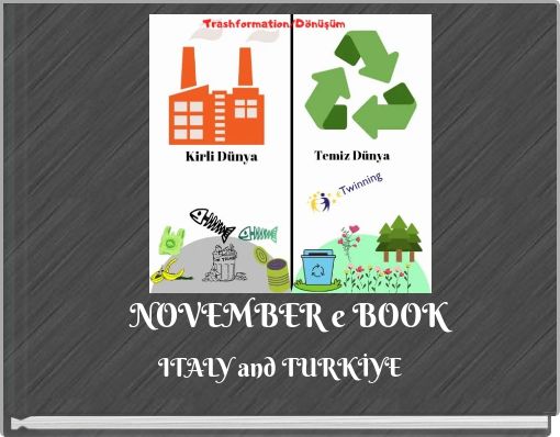 NOVEMBER e BOOK