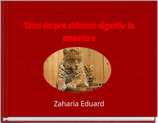 Totul despre sistemul digestiv la mamifere