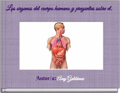 Los organos del cuerpo humano y preguntas sobre el.