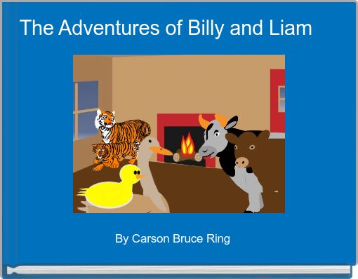 Front cover of 'The Adventures of Billy and Liam' 