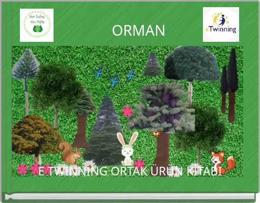 ORMAN