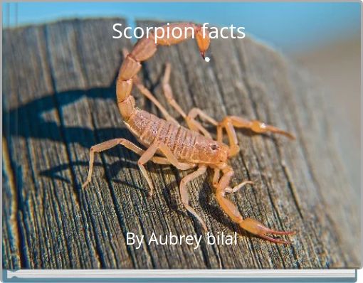 Scorpion facts