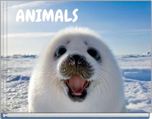 Front cover of 'ANIMALS' 