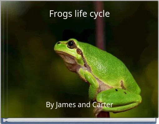 Frogs life cycle