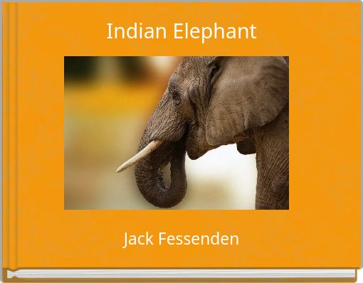 Indian Elephant
