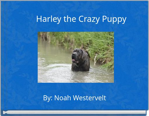 Harley the Crazy Puppy