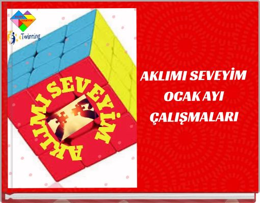 AKLIMI SEVEYİM OCAK AYI ÇALIŞMALARI