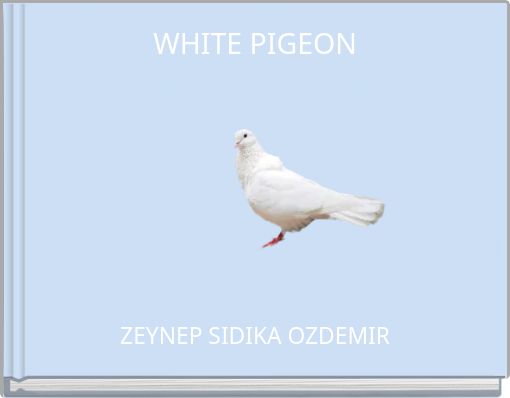 WHITE PIGEON