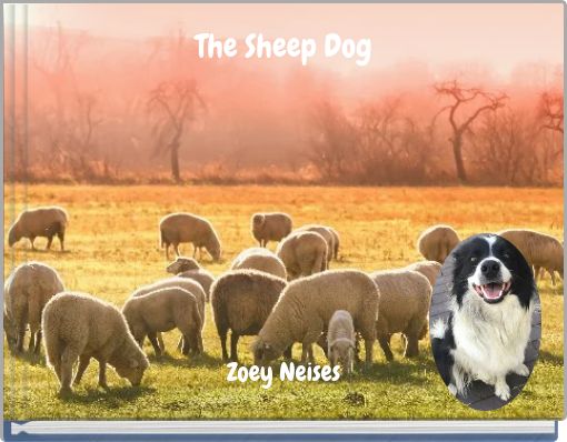 The Sheep Dog