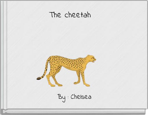 The cheetah