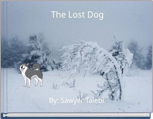 The Lost Dog
