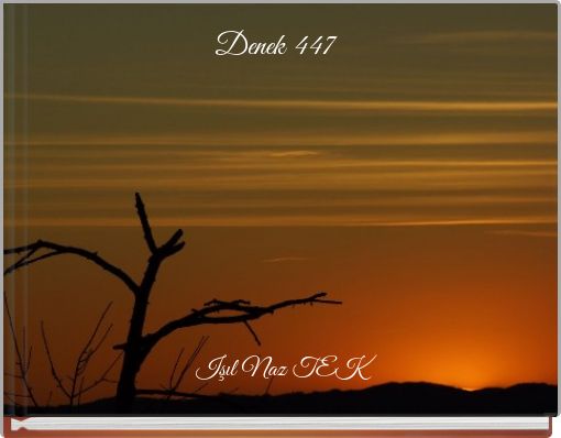 Front cover of 'Denek 447' 