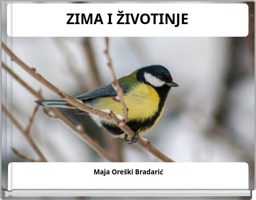 ZIMA I ŽIVOTINJE