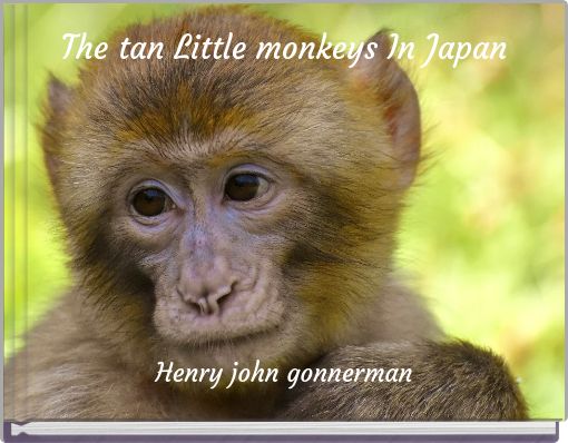 The tan Little monkeys In Japan