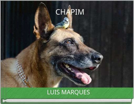 CHAPIM