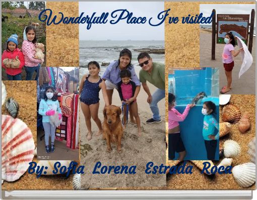 Front cover of 'Wonderfull Place I´ve visited' 