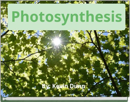 Photosynthesis