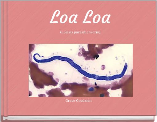 Loa Loa (Loiasis parasitic worm)