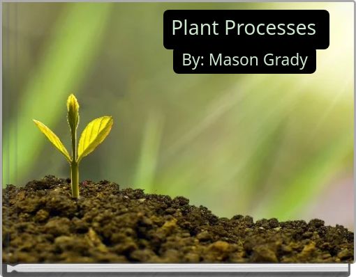 Plant Processes