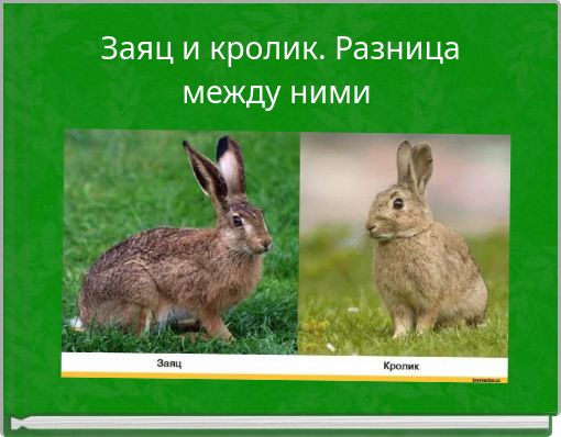 Заяц и кролик. Разница между ними