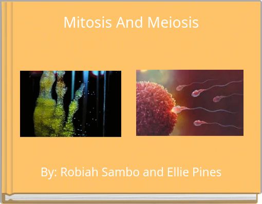 Mitosis And Meiosis